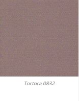 Tortora 0832